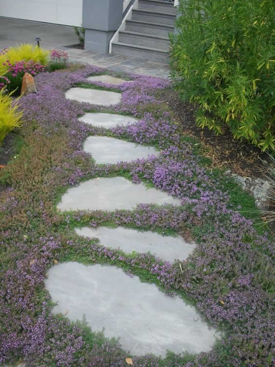 Plants And Ground Covers For Your Paths And Walkways