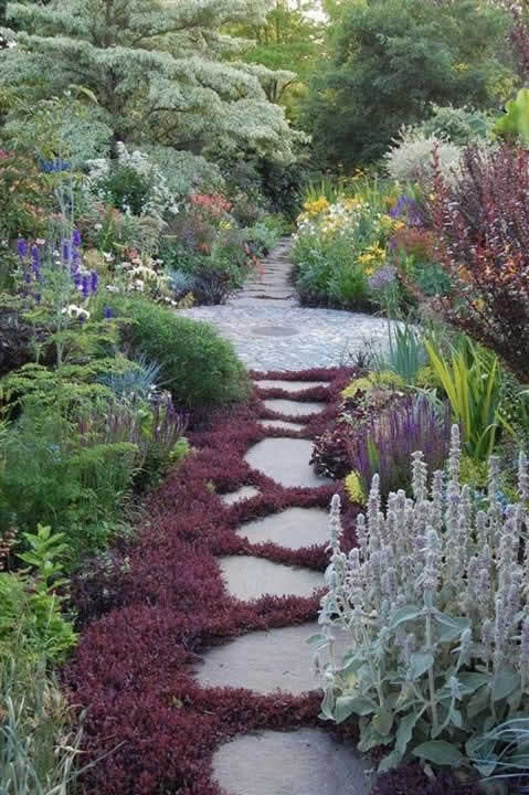 Plants And Ground Covers For Your Paths And Walkways