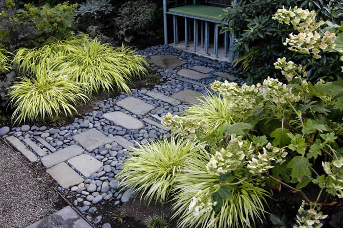 Plants And Ground Covers For Your Paths And Walkways