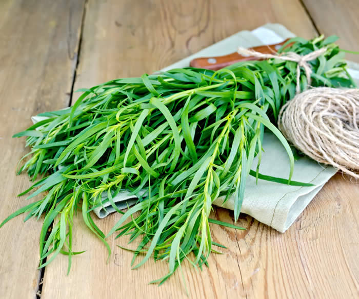 Tarragon