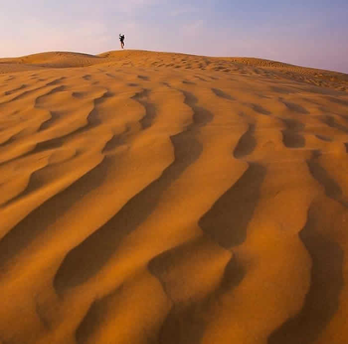 You’ll traverse the world’s northernmost desert and see plants found nowhere else