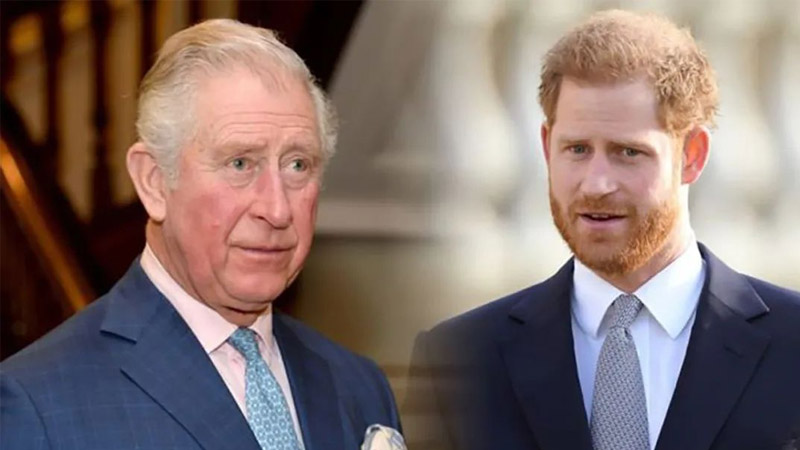  Prince Harry and Meghan Markle slammed for privacy breach during 75th birthday call to King Charles