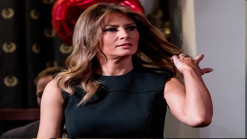  Data reveals Melania Trump’s NFT sale was a wash trade