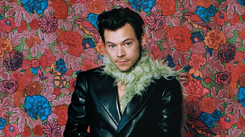  Harry Styles’ Blind Obsession With Olivia Wilde Headed Him For Heartbreak