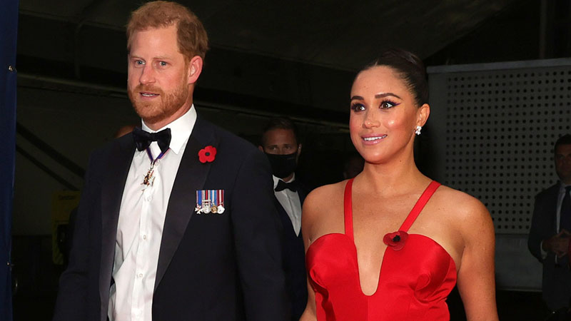  Royal Commentator Criticizes Prince Harry and Meghan’s Security Team, Calls for Action on Their “Shocking” Decision