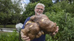 World heaviest potato