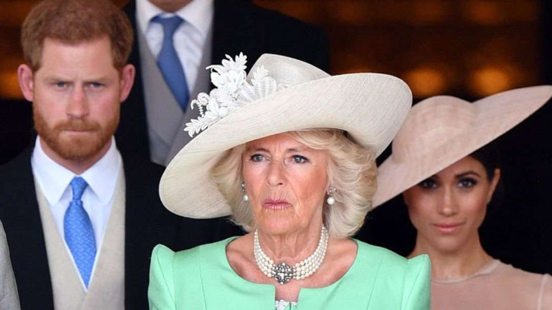  Queen Camilla son ‘sending a message’ to Prince Harry with new book