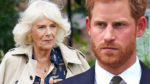 Camilla is 'very angry' with Prince Harry
