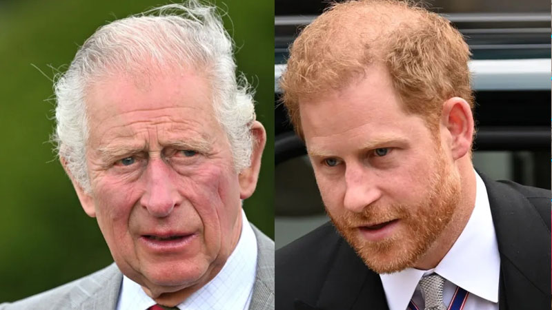 Prince Harry and Prince Charles