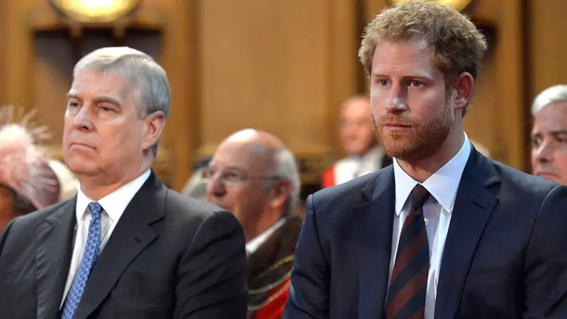  Prince Harry Becomes First British Royal Family Member to Publicly Condemns Prince Andrew Over Scandal