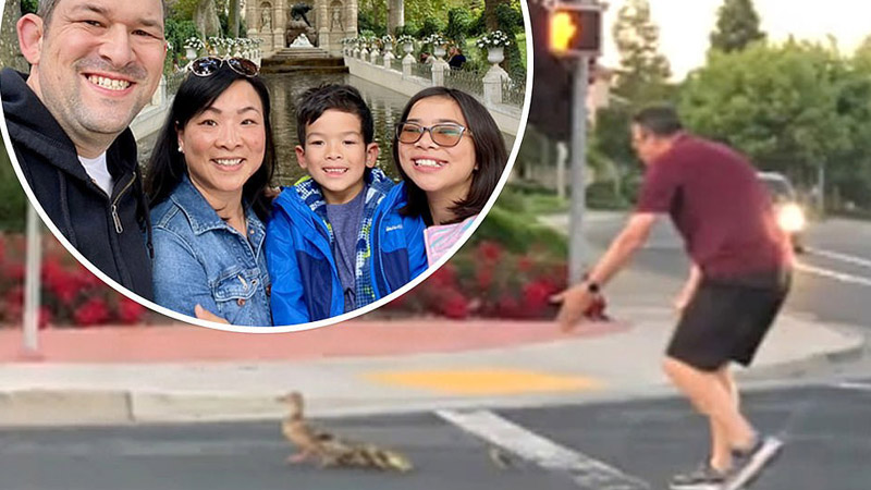  California man who got out of his car to help a family of ducks safely cross the road was killed by a teenage driver: “My heart is in thousand pieces”