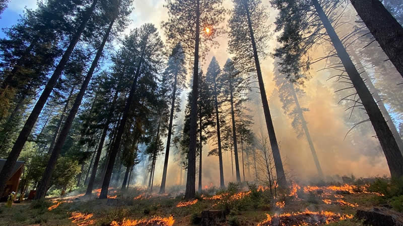  Unpredictable Tempests Put Firefighters to the Test: Tackling Two Major California Blazes