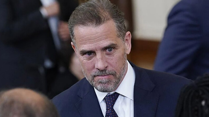  Hunter Biden Lied to Judge About His Status As a Practicing Attorney