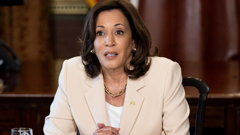  Kamala Harris Faces Criticism for Addressing High Maternal and Childbirth Mortality Rates in the US”