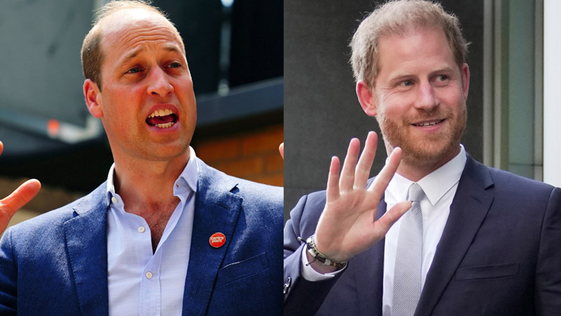  Prince William LEAK private information about Prince Harry to the media: New book exposes “irreparable damage” allegations