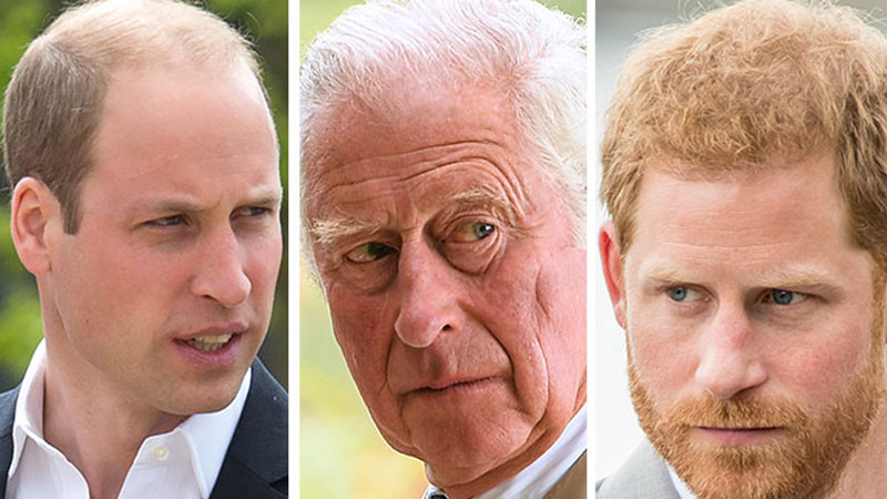  ‘You’re certainly not forgiven and you’ve certainly done a lot of damage’ Prince Harry ‘Not Forgiven’ by King Charles and Prince William