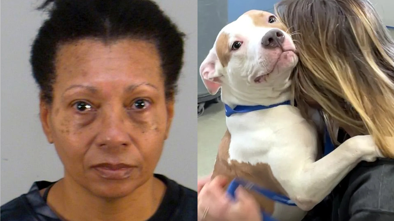 Woman Allegedly Drowned Her Dog