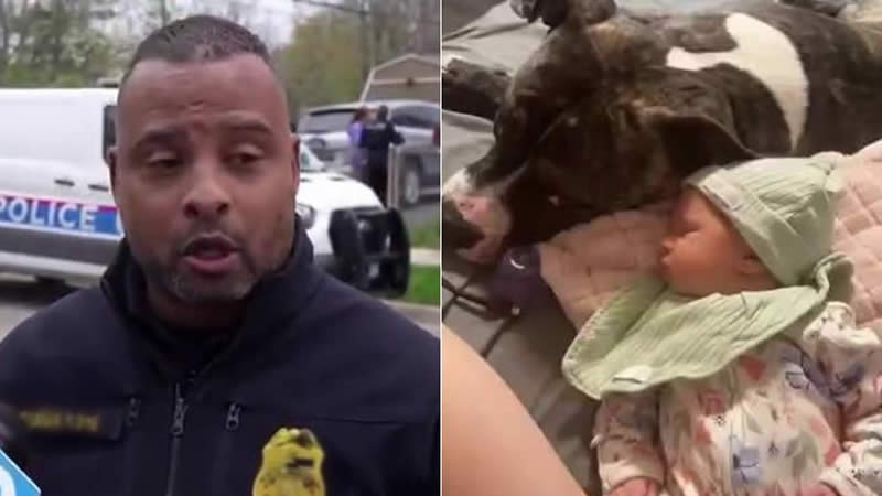 Elizah Turner mauled by pit bulls