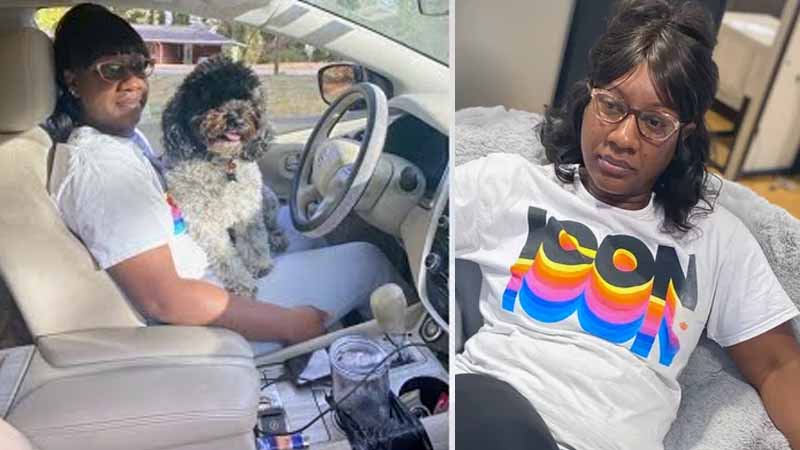 Mother Killed in Police Chase Crash