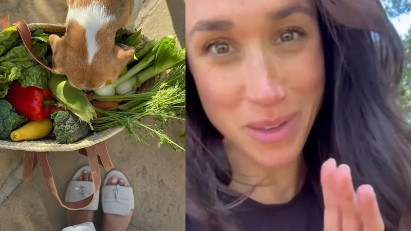 Meghan Markle’s Garden Photo, Fans Questioning Whether Her Vegetables Are Real