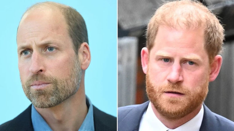 harry and william