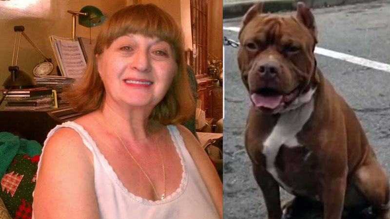 New York Woman Killed by Family Pit Bull, Husband Returns Home to Find Dog Eating Her Remains