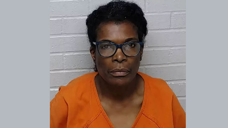 North Carolina Foster Mom Allegedly Left 7-Month-Old Girl to Die in Hot Car as Temperatures Hit 90 Degrees
