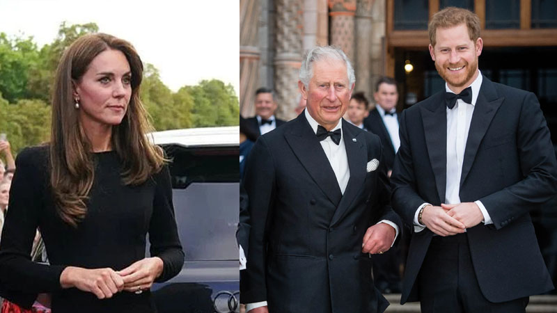 King Charles and Prince Harry