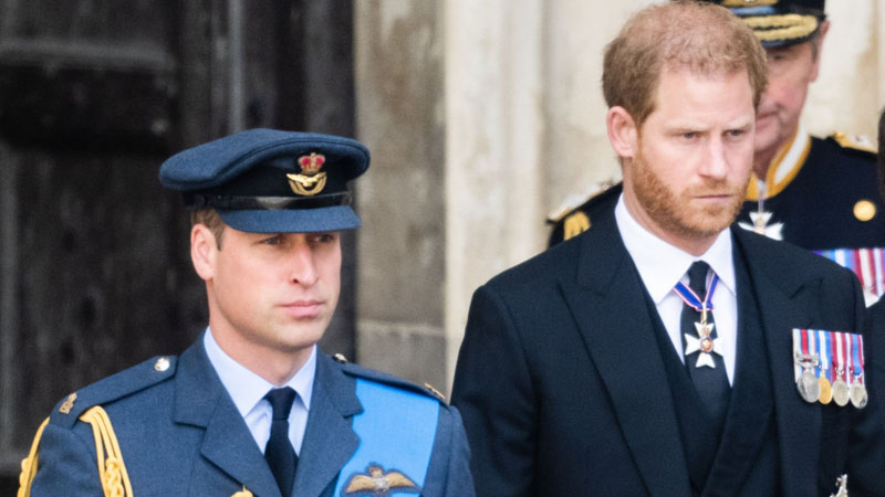Prince William and Prince Harry