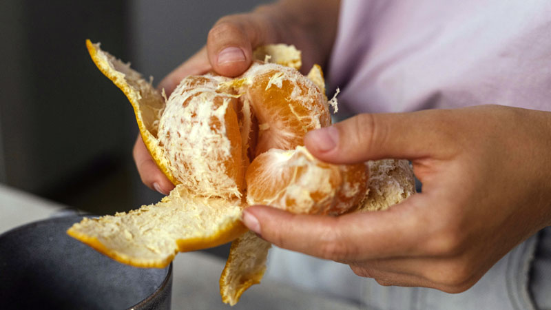 Fruit Before Eating