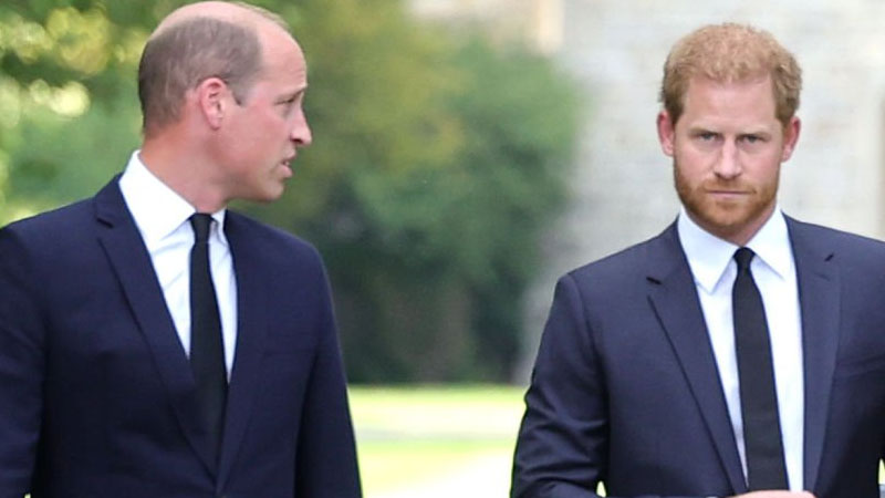 William and Harry