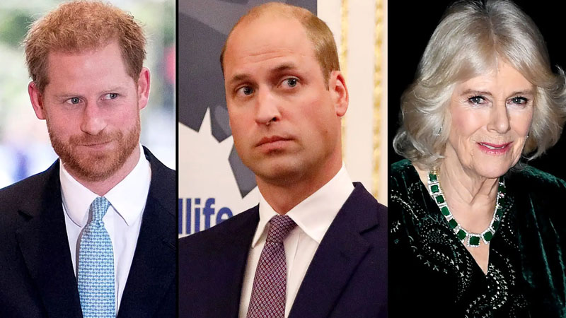Prince Harry, Prince William, and Duchess Camilla