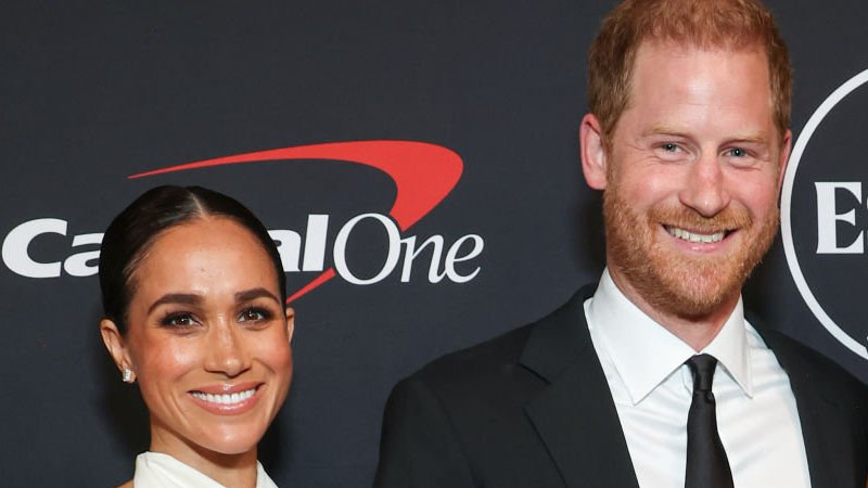 Meghan Markle is called out for using Prince Harry for fame