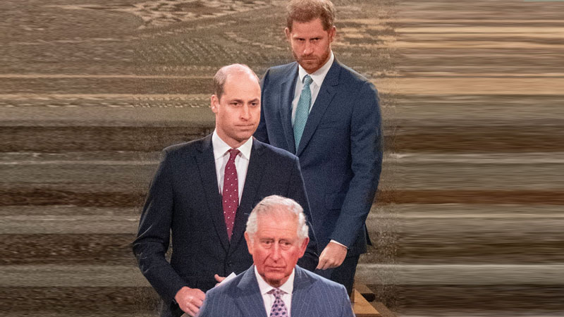 prince harry william charles