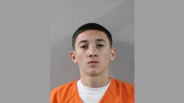 (Polk County Sheriff's Office)