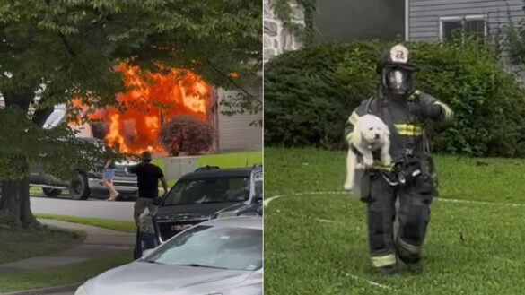 Photo by Cherry Hill Fire Department / Facebook