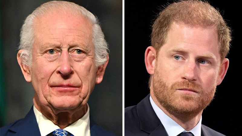 prince harry and king