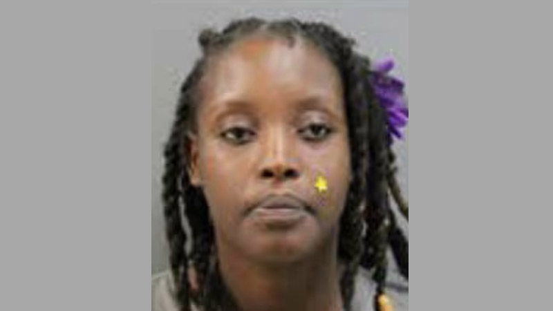 Mother Charged for Leaving Children