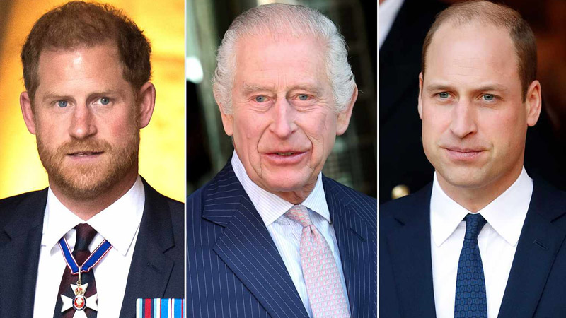 William And Harry and king