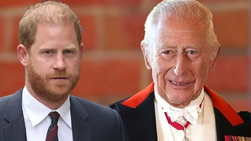 Prince Harry and King Charles