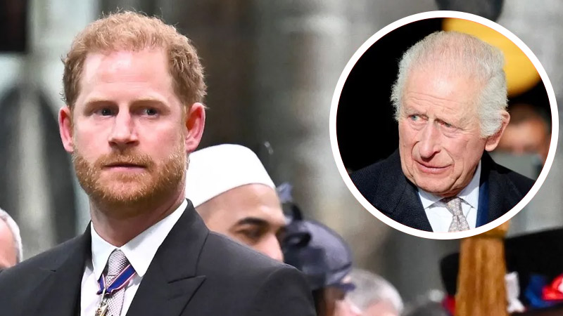 Prince Harry and King Charles