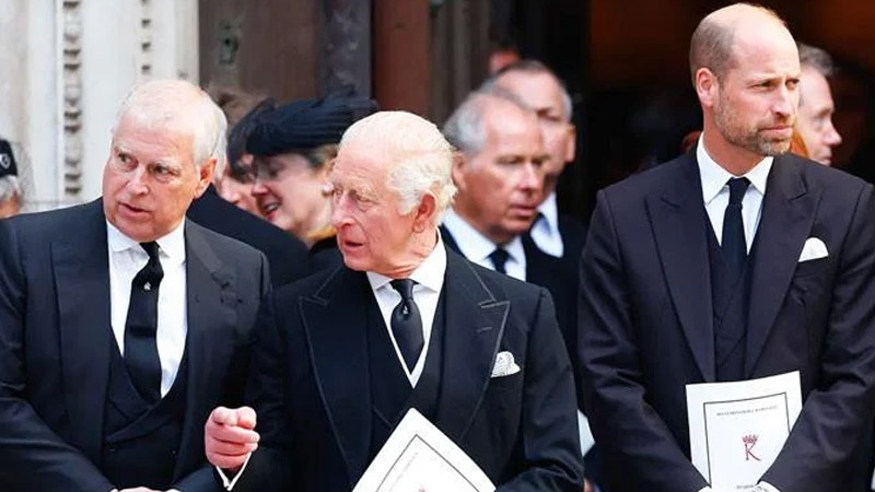King Charles And Prince William