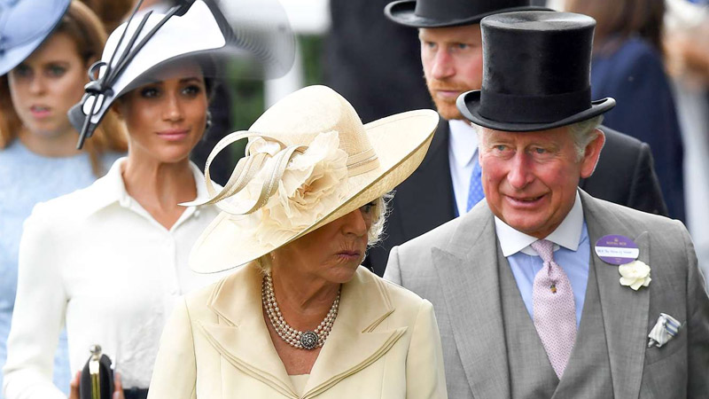 King Charles and Camilla And Meghan