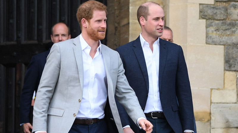 prince william and prince harry