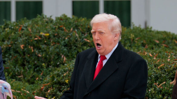 (Photo by Heather Diehl/Getty Images)