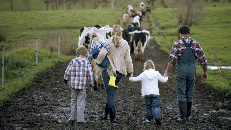 Farmer Predicts the Death of Small-Town Farming